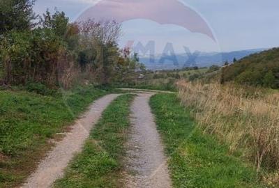 Teren constructii si faneata/livada 3082 mp Damis Bratca drum DJ 764D - 7