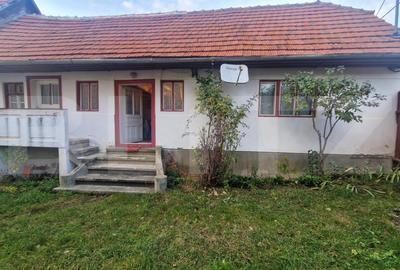 Casa batraneasca 15 minute de Brasov, 2 CAMERE 380 MP TEREN - 1