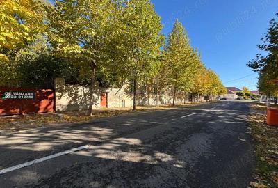 Proprietar vand casa + teren 2500 mp in zona centrala SANNICOLAU MARE - 5