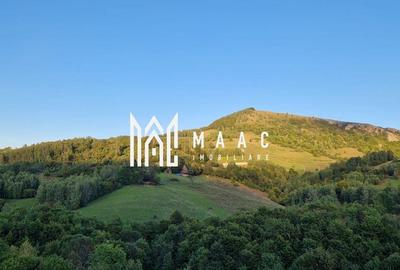 Teren de 117000 mp, în Râmeț - 4