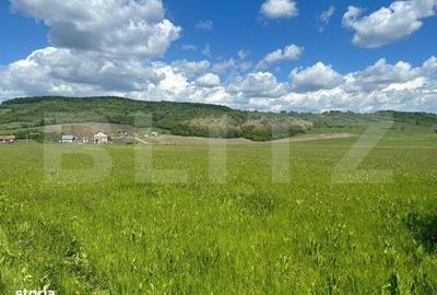 Spațiu comercial, în Șintereag