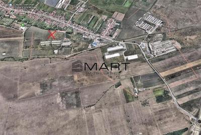 Teren intravilan 5000mp Sura Mica