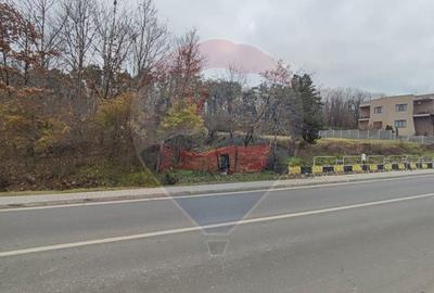 Oportunitate investi?ie B. Felix teren intravilan cu PUZ 1157 mp DN 76 - 6