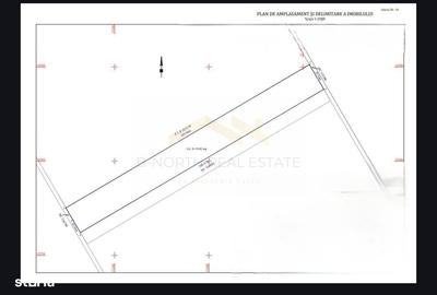 Teren de 9100 mp, în Ciorogârla - 2