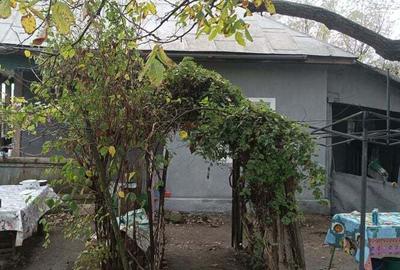 Casă cu 3 camere cu Teren 2493 Mp în Pădina - 8