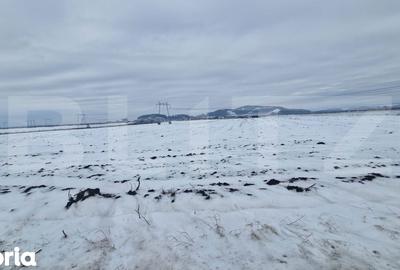 Teren de 11620 mp, în Hărman - 2