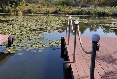 Vila de vanzare cu iesire (ponton) la lacul Snagov, in Izvorani - 10