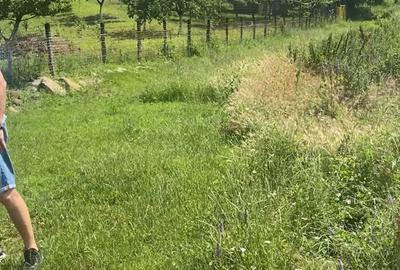 Teren de 2500 mp, în Sibiciu de Sus - 5