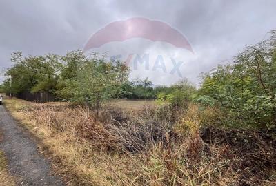 Teren intravilan 1700 mp de vanzare Polcesti  Strada Crangului - 10