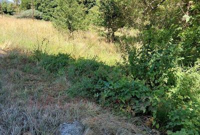 TEREN INTRAVILAN IN MARGA-LA DN68 JUD.CARA?-SEVERIN - 5