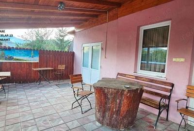 Proprietate multifunctionala, com.D-va Rosie,casa+spatiu comercial+teren - 16