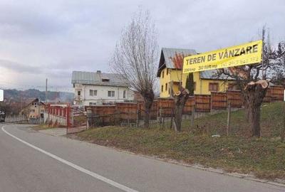 Teren de 2391 mp, în Câmpulung Muscel - 3