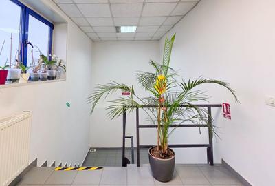 Spațiu comercial, de 650 mp, în Prelungirea Ghencea - 36