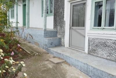 Casă cu Teren 1700 Mp în Garvăn - 4