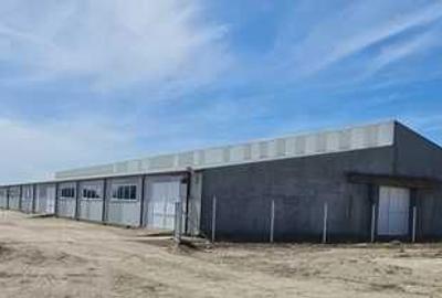 Teren de 32277 mp, în Ulmu - 5