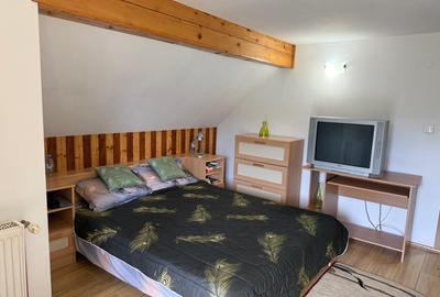 VANZARE CASA TIP PENSIUNE - 4