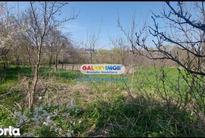 Casă cu 3 camere cu Teren 1074 Mp în Mihai Eminescu - 3