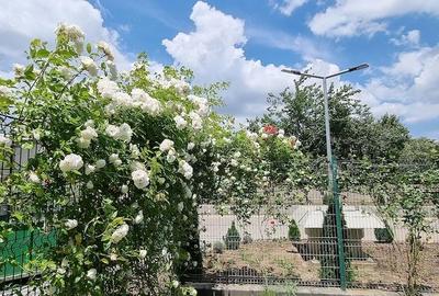 Apartament cu 3 camere decomandat în Berceni - 4
