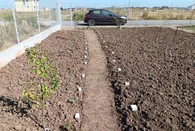 Spațiu comercial, în Berceni - 5