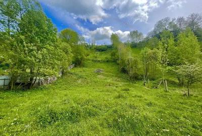 Teren de 839 mp, în Valea Doftanei