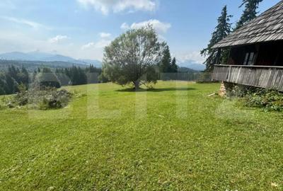 Teren de 20000 mp, în Central - 4