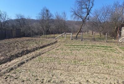 Spațiu comercial, în Sâmbotin - 3