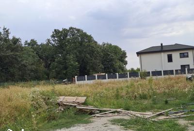 Teren de 1600 mp, în Cernica - 4