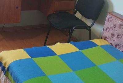 Apartament decomandat în Pantelimon - 5