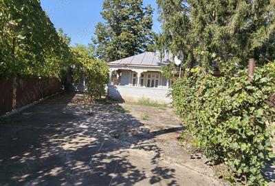 Casa batraneasca de vanzare - 1