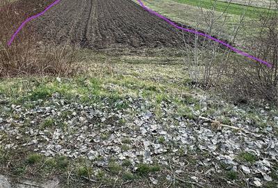 Teren de 2692 mp, în Nandru - 7