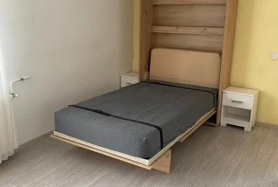 Grasoniera moderna in Marasti - 3