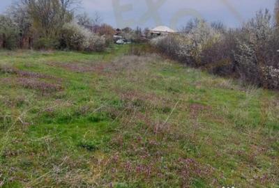 Teren de 3669 mp, în Topoloveni - 3