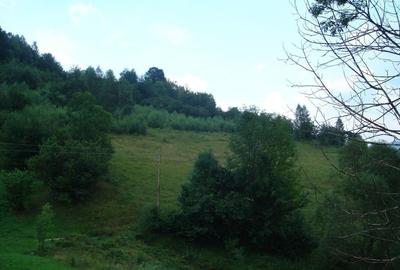 Teren de 25500 mp, în Vișagu - 6
