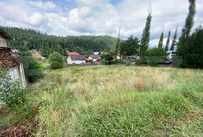 Teren Vatra Dornei 1504 mp - 2