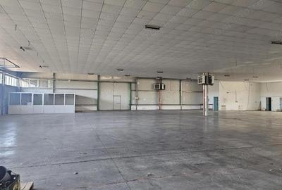 Hala Calea Lugojului 1400 mp 6000 euro - 4