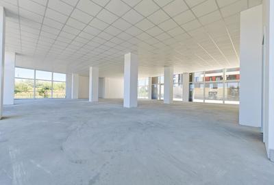 Spatiu Comercial - Str. Liviu Rebreanu - 286 MP - Comision 0% - 8