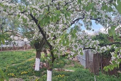 Casă cu Teren 450 Mp în Petros