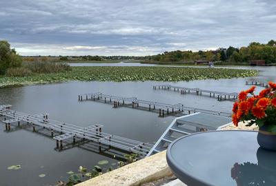 Casă individuală cu 3 camere cu Canalizare în Snagov - 2