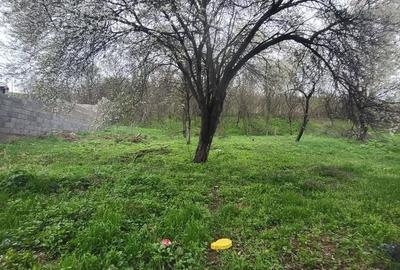 Casă cu 3 camere cu Teren 637 Mp în Central - 1