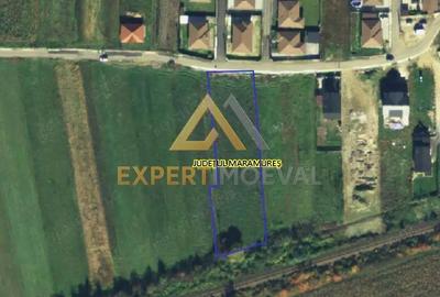 Teren de 968 mp, în Săsar - 5