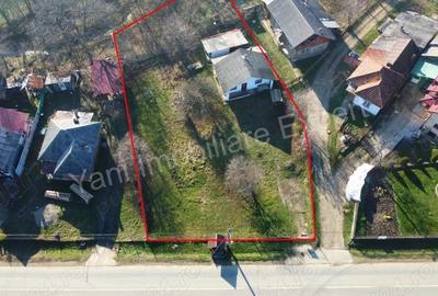 Casă în Domnești - 3