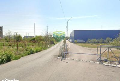 Teren de 1991 mp, în Cernica - 5