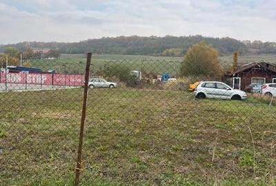 Teren Cristian pretabil constructii Hale - 4