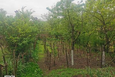 Casă cu 4 camere cu Teren 100 Mp în Băbăița - 4