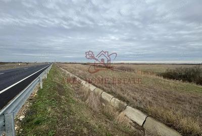 Teren 5.000 mp centura Calea Sagului- Freidorf. Comision 0 - 7