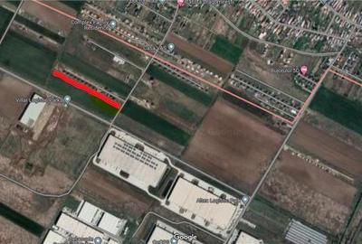 Teren de 7900 mp, în Dragomirești-Deal - 3
