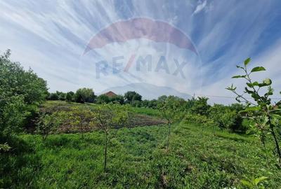 Casă cu 4 camere cu Teren 1440 Mp în Mișca - 3