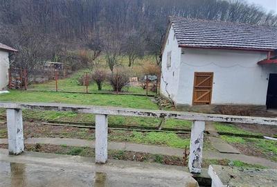 Casă individuală cu 4 camere cu Teren 1000 Mp în Est - 14