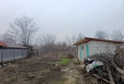 Casă cu 3 camere cu Teren 860 Mp în Pietroasele - 9