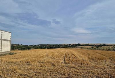 Teren de 3400 mp, în Balș - 5